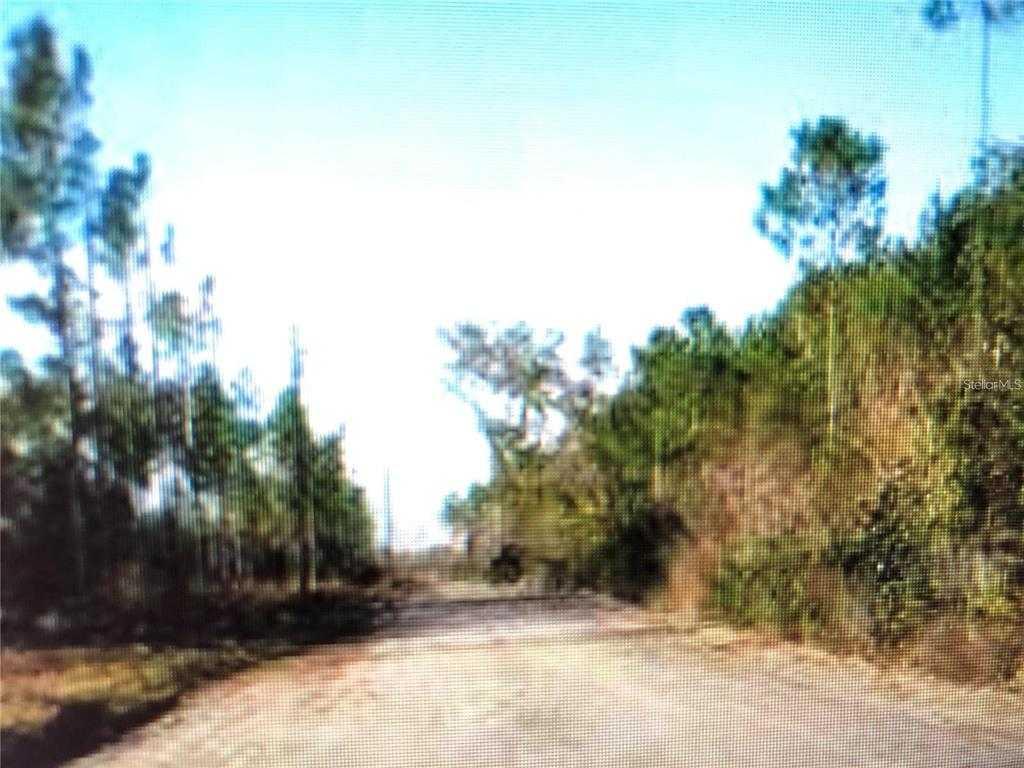MADISON MAIN LINE, PERRY, Land,  for sale, Natalie Amento, Florida Realty Investments