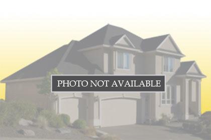 10932 FLINT ESTATES, THONOTOSASSA, Single Family Residence,  for sale, Natalie Amento, PA, Florida Realty Investments