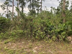 135 STREET, OCALA, Land,  for sale, Natalie Amento, PA, Florida Realty Investments