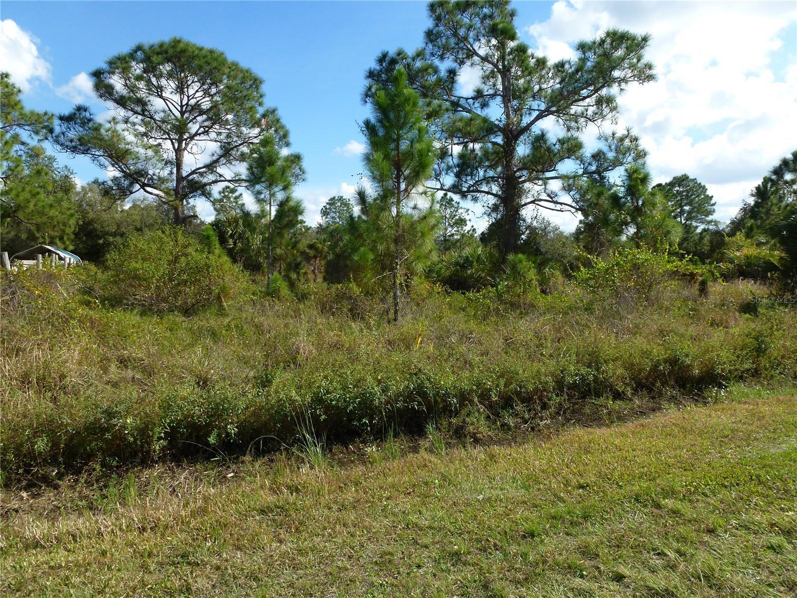 465 NOGAL, CLEWISTON, Land,  for sale, Natalie Amento, PA, Florida Realty Investments