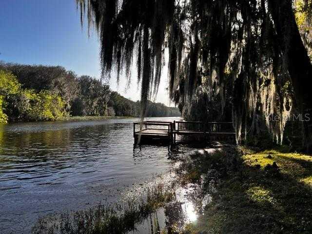 2295 CR 412, LAKE PANASOFFKEE, Single Family Residence,  for sale, Natalie Amento, PA, Florida Realty Investments