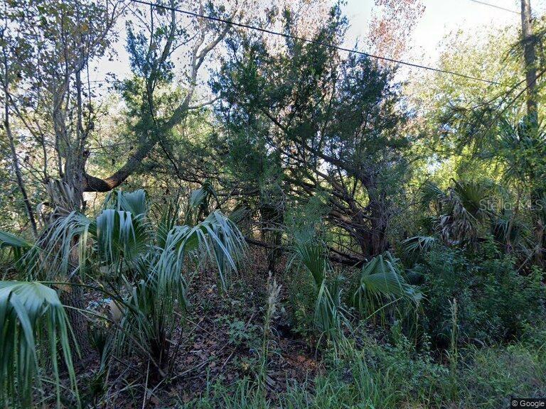 8017 LAZY, HUDSON, Land,  for sale, Natalie Amento, PA, Florida Realty Investments