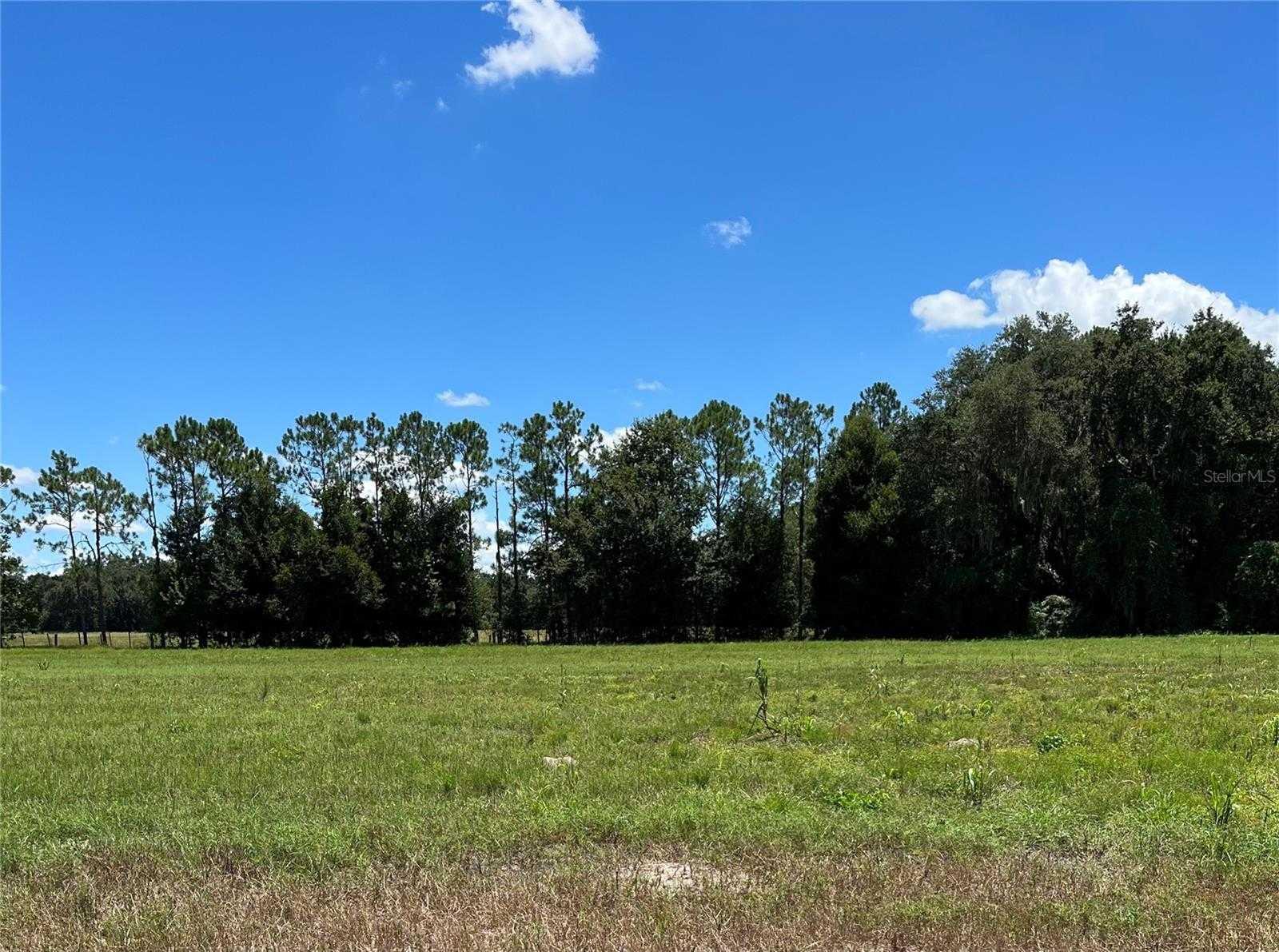 CR 722, WEBSTER, Land,  for sale, Natalie Amento, PA, Florida Realty Investments